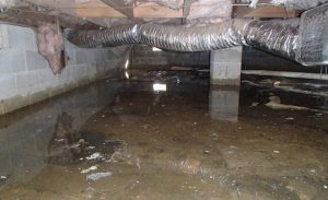 crawlspace-water damage crawlspace water 300x183
