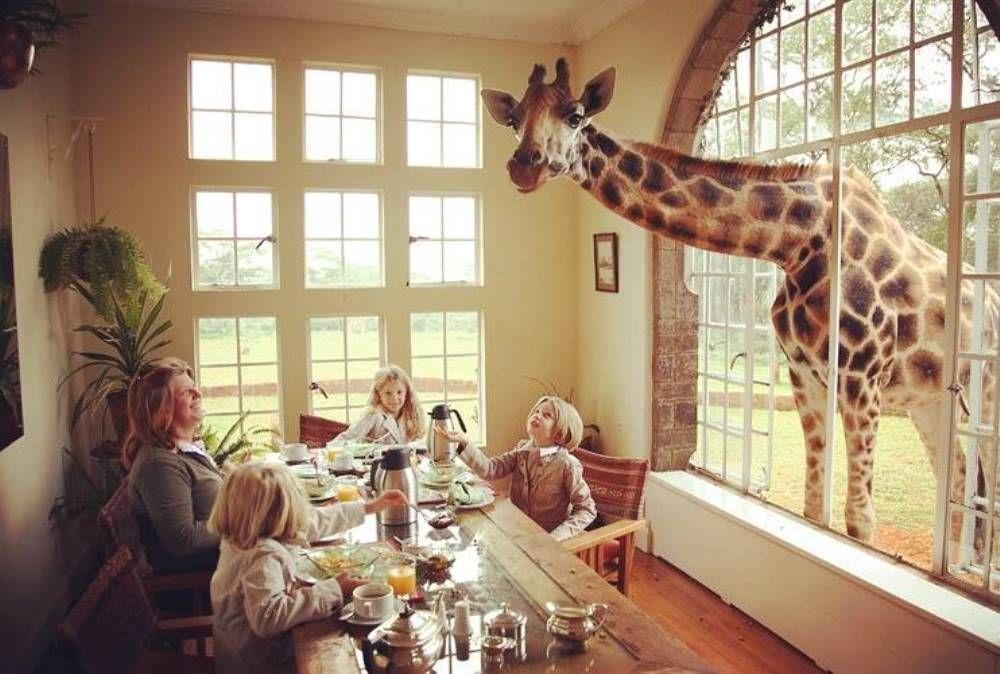 Hotel Giraffe Manor in Kenya, Africa 