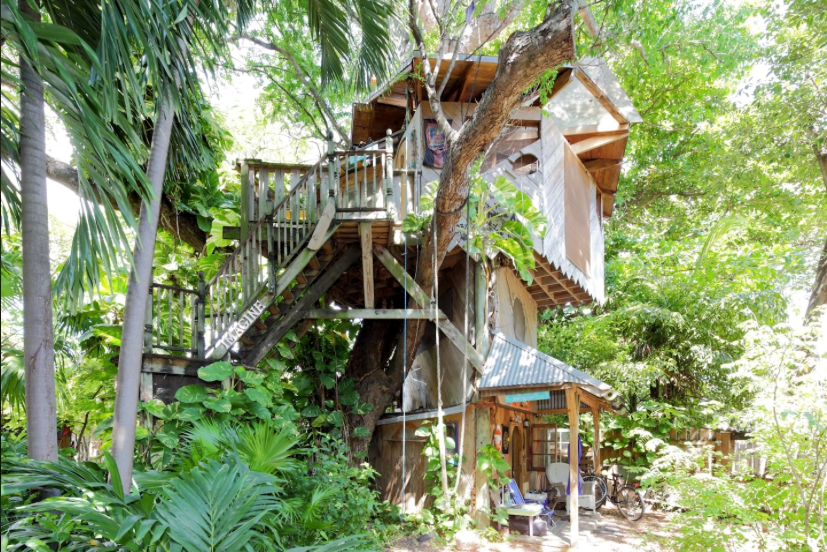 Tree house