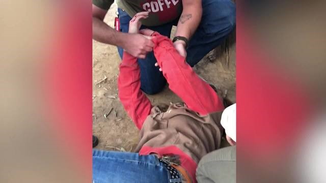 Women down after jaguar attack
