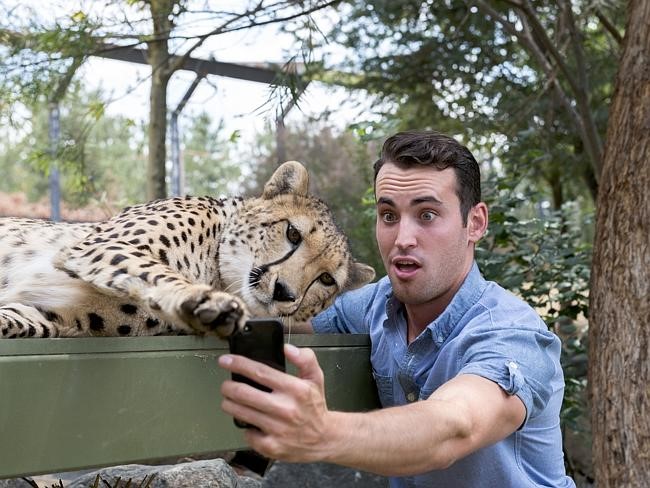 Picture with Jaguar