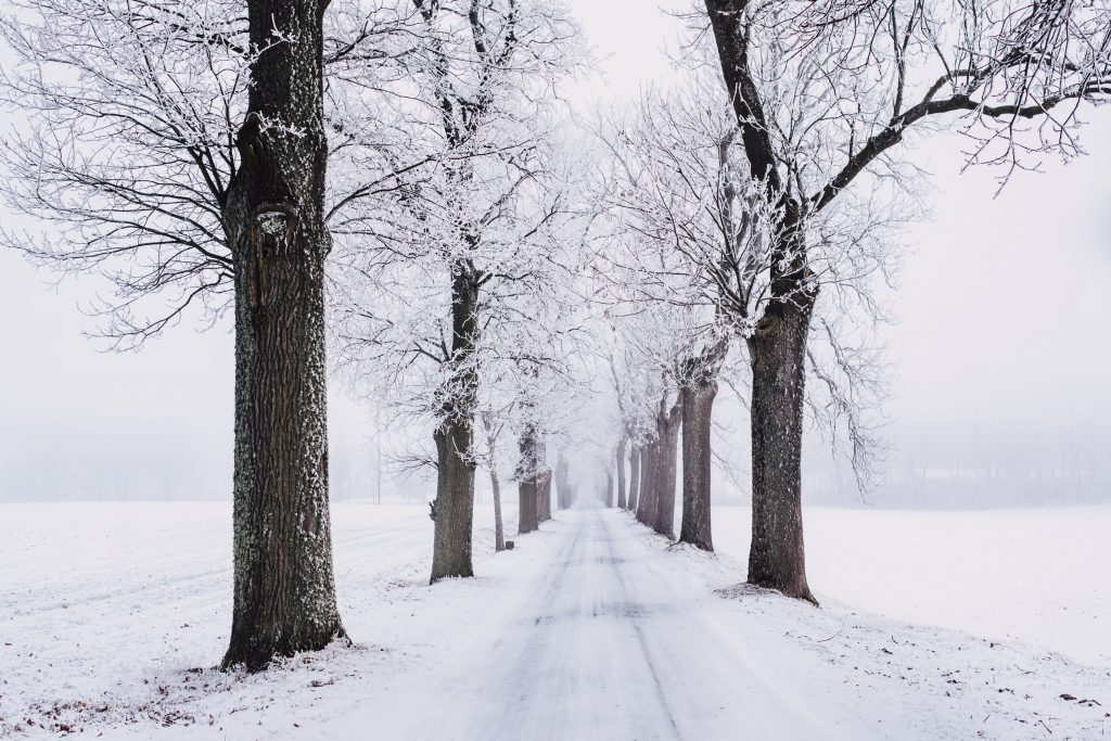 Snowfall in Hawaii
