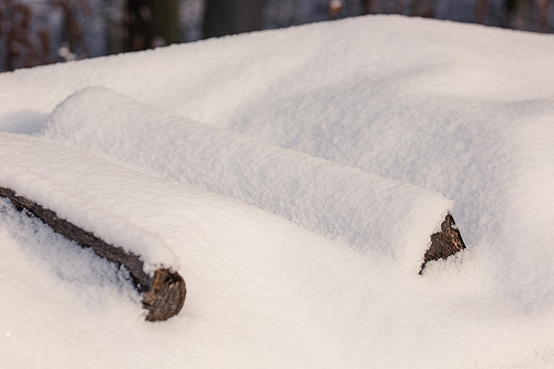 uncommon Snow