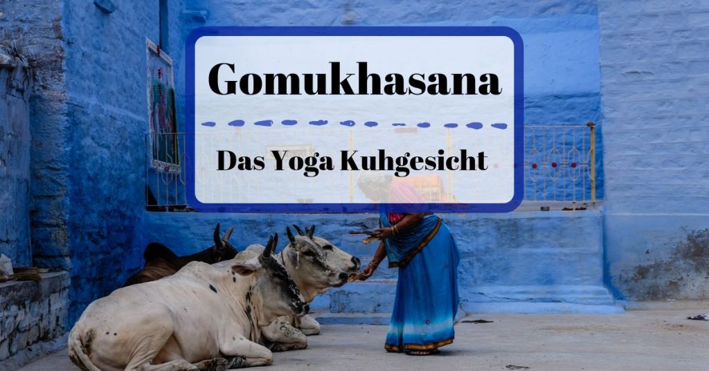 Gomukhasana Kuhgesicht
