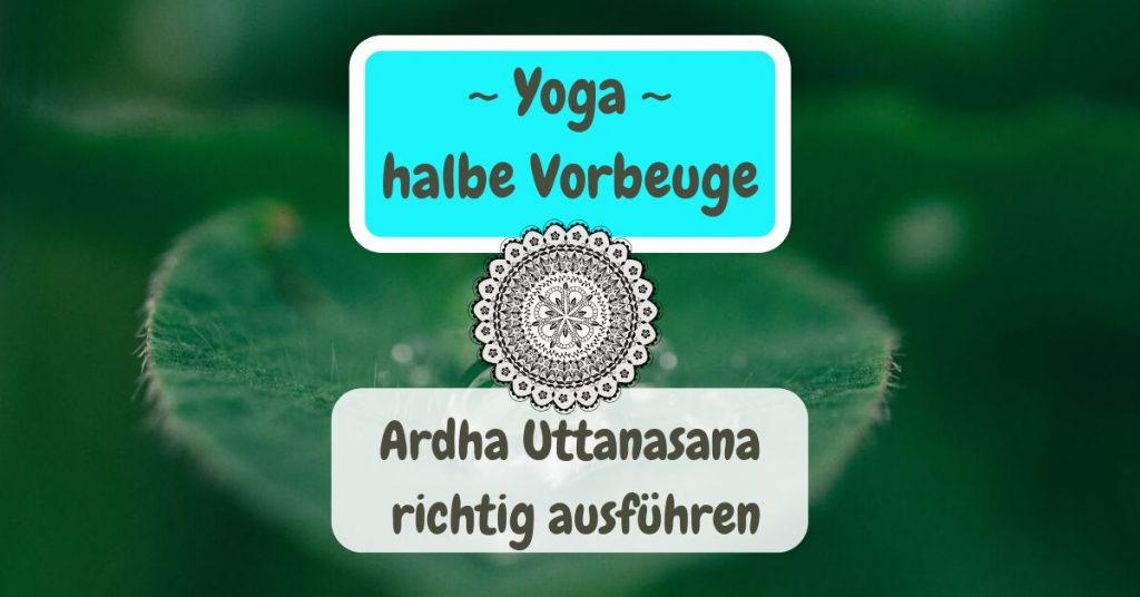 Yoga halbe Vorbeuge