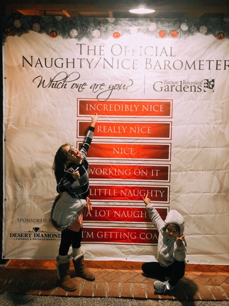 IMG_3635.JPG IMG 3635