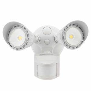 Leonlite Dual Light