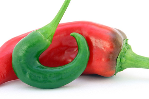 nutrition and weight loss