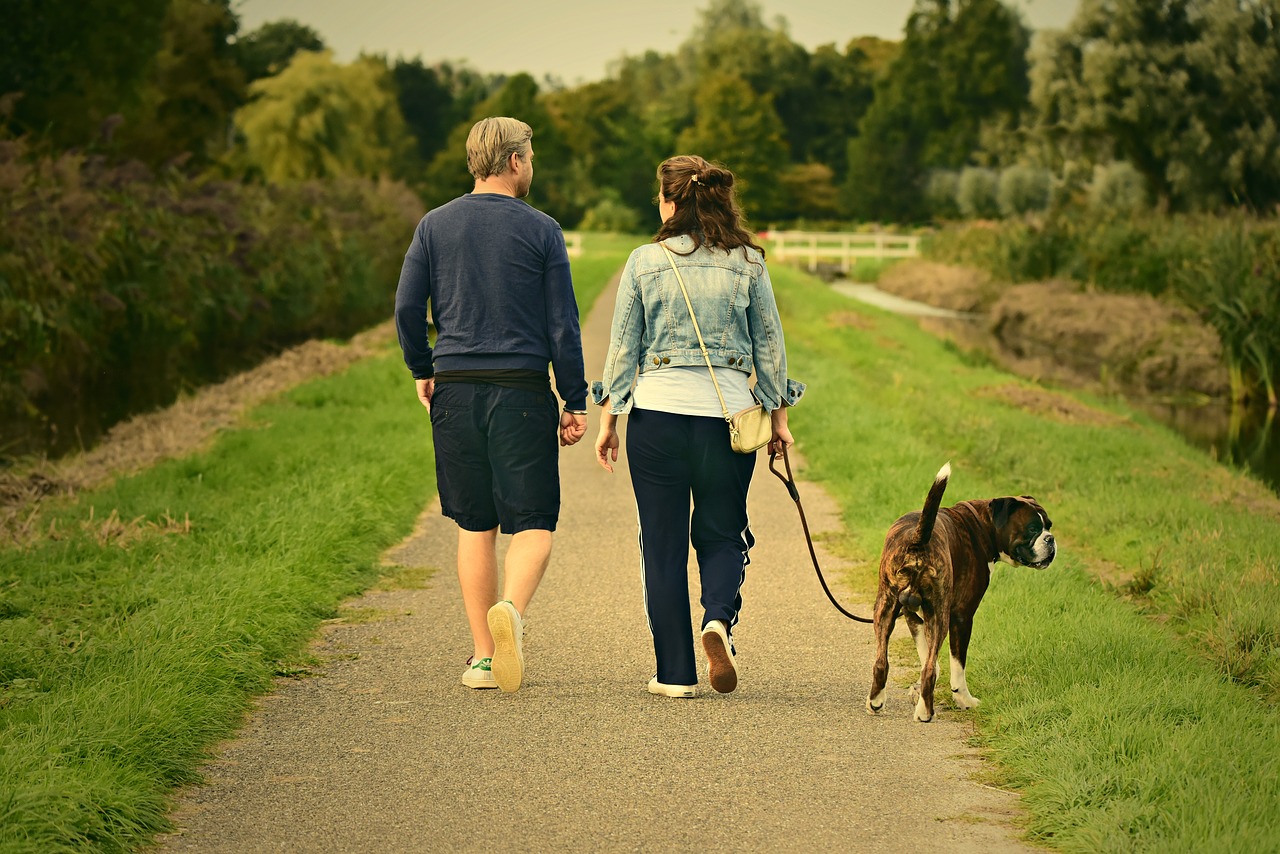 fitness walking