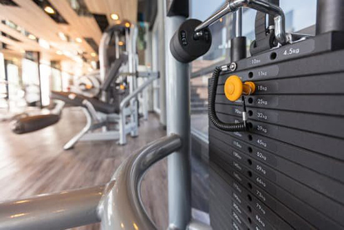 muscle building tips