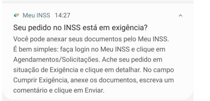 Pend&ecirc;ncia de Requerimento dos Segurados