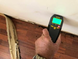Mold remediation 