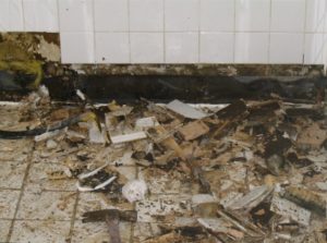 mold inspection port st lucie