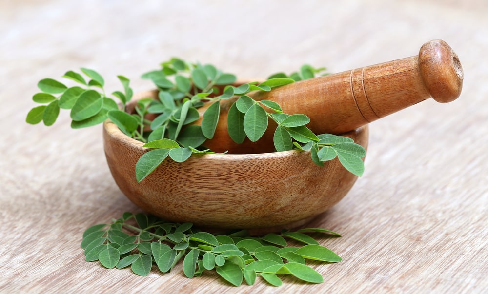 moringa planta milagrosa