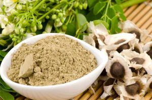 moringa oleifera e sementes de moringa