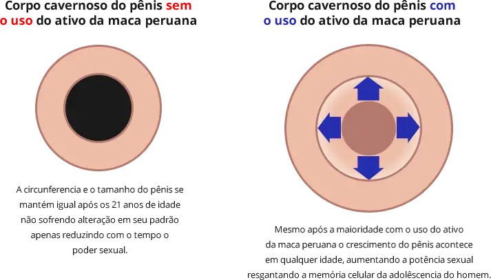 Hotgel Aumento do P&ecirc;nis