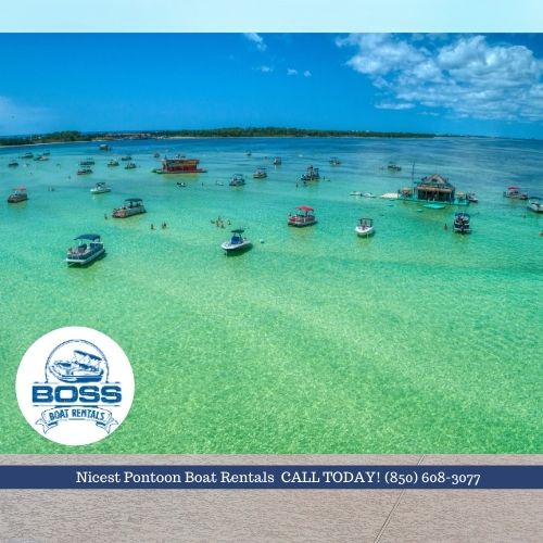 pontoon boat rentals 