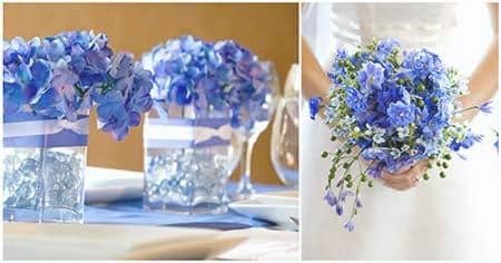 The pictures of the Wedding royal blue and white