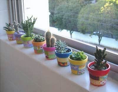 the vessels of the window