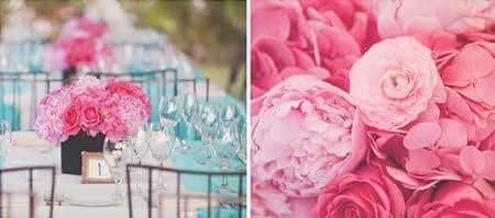 The pictures from the Wedding, blue and pink
