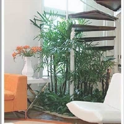 the decor