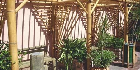 pictures of how to decorate a