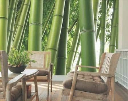 the decor of the outdoor area