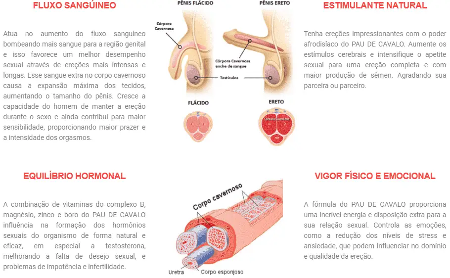 Hot Men Caps Benef&iacute;cios