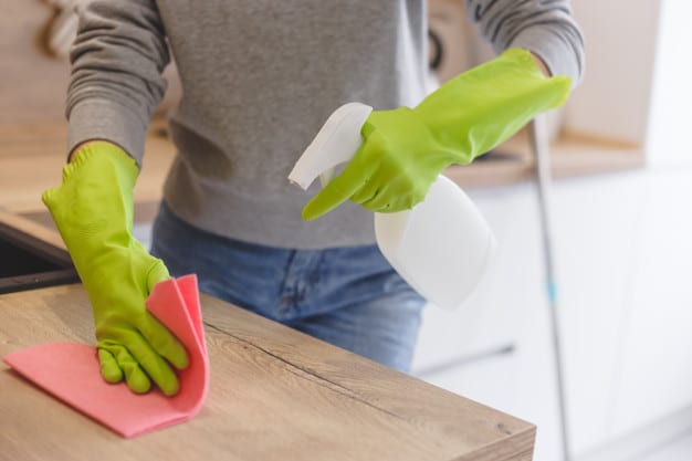 eh maids cleaning spray