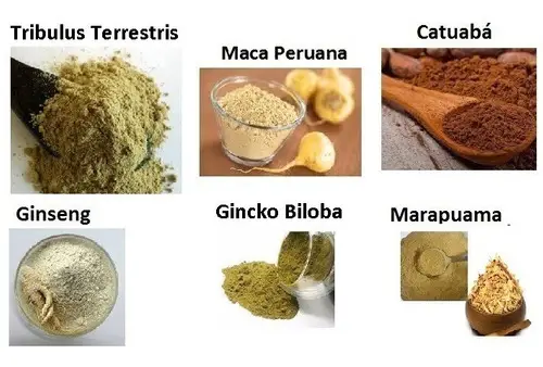 Maca Peruana