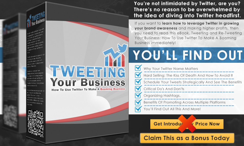 Tweeting%2BYour%2BBusiness%2BInfo%2BGraphics