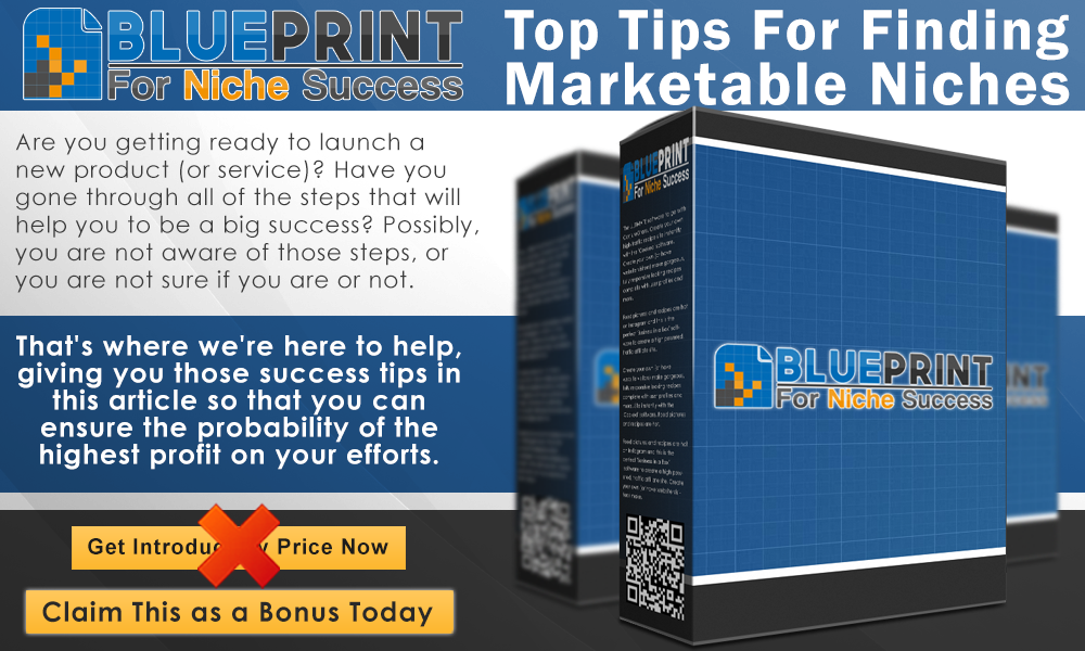 BluePrint%2BFor%2BNiche%2BSuccess%2BInfo%2BGraphics