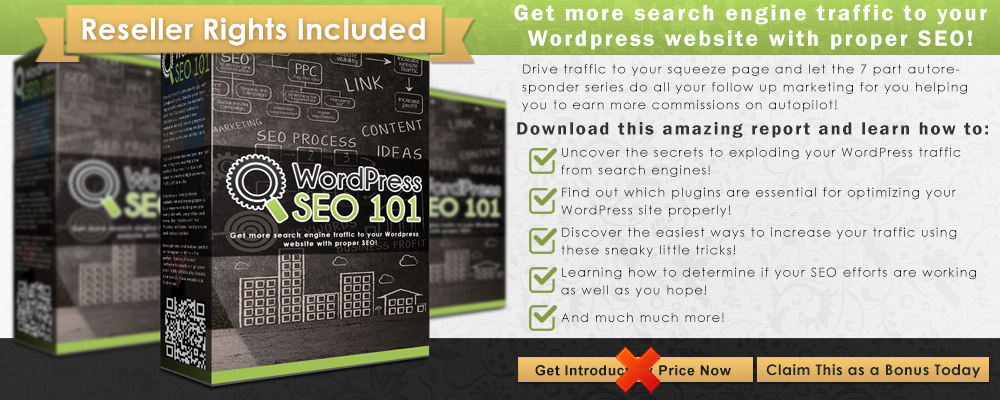 Wordpress+Seo+101+Infographict