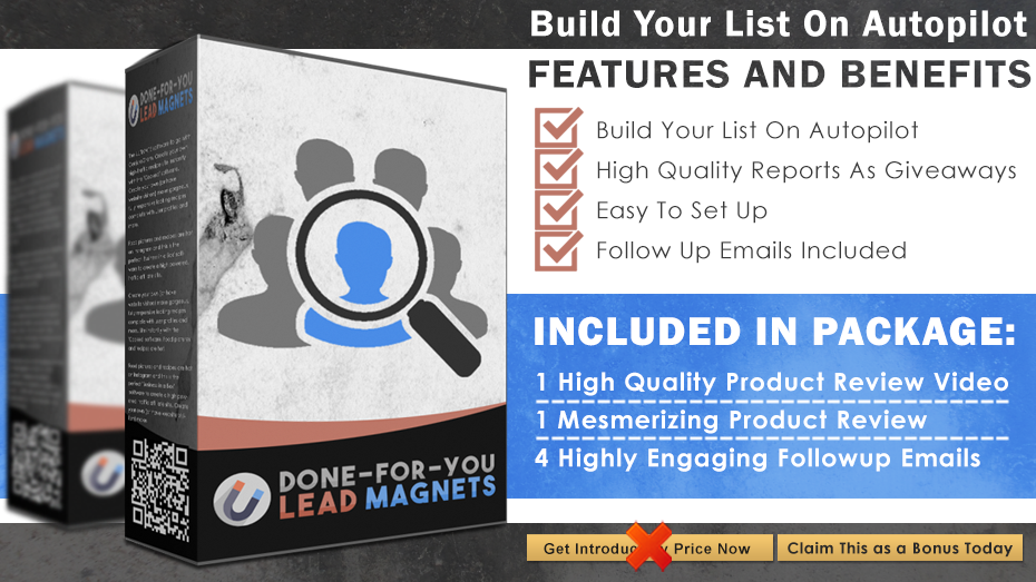 Done+For+You+Lead+Magnet+Info+Graphics