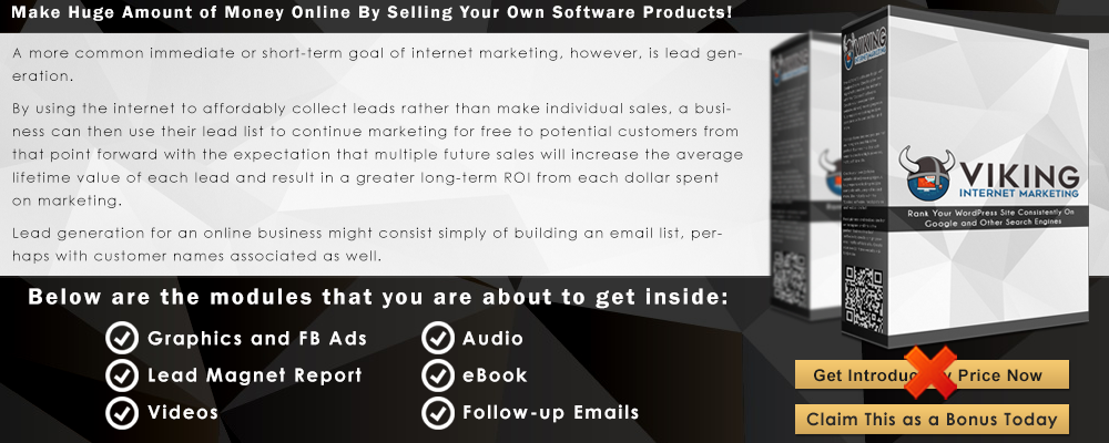 Viking+Internet+Marketing+Infographic