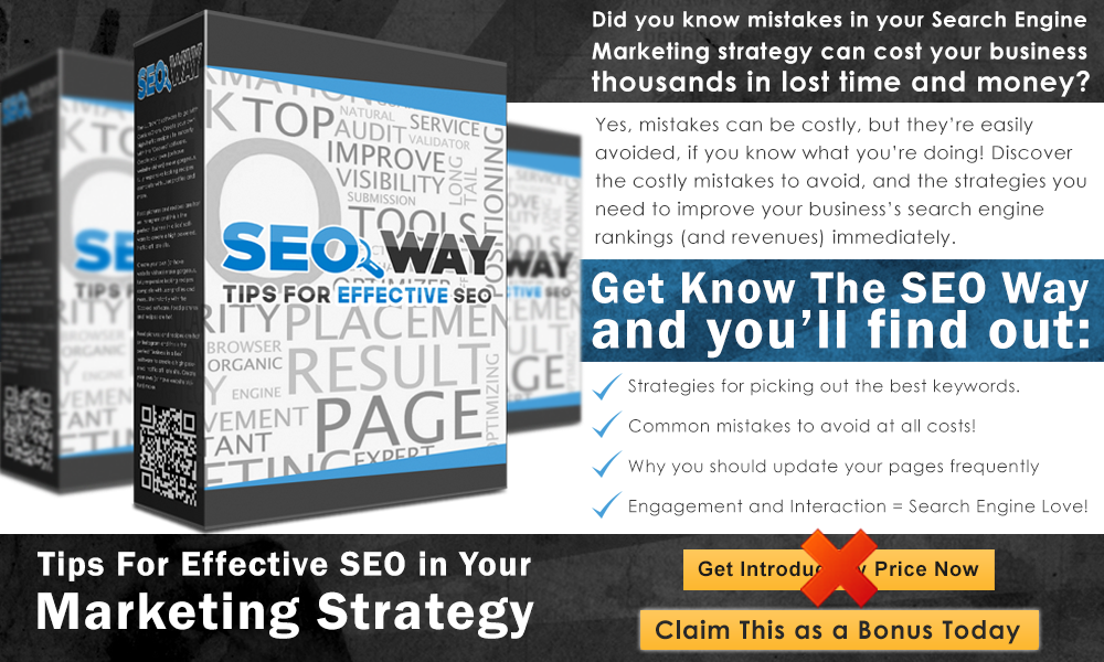 SEO%2BWay%2BInfo%2BGraphics