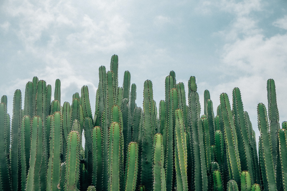Am I Barred From Claiming Constructive Dismissal or Wrongful Dismissal if I Quit Due to Stress?