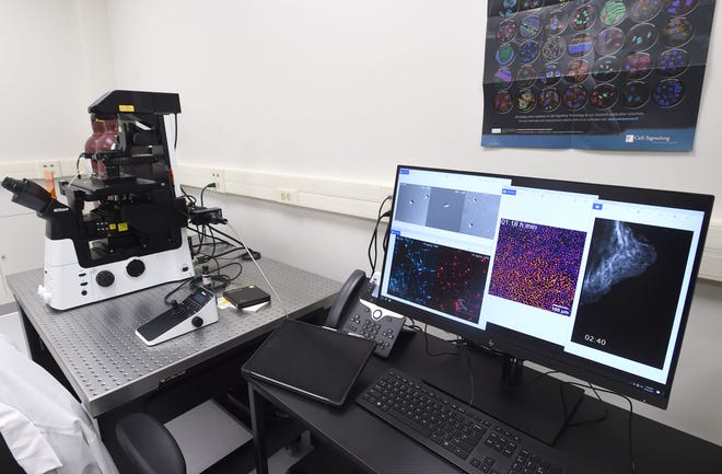 The new $750,000 biomedical translational research lab at Penn State Behrend's Advanced Manufacturing and Innovation Center is shown Thursday.