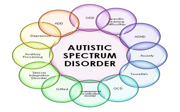Human Biology Online Lab / My Neurological Disorder by ...