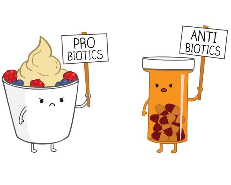 How to Properly Take Probiotics with Antibiotics