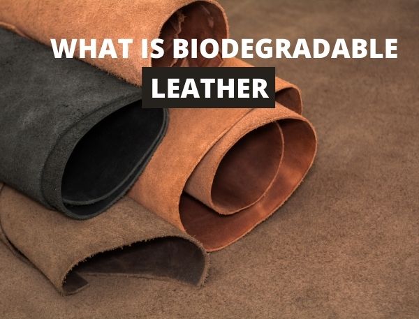 what is biodegradable leather