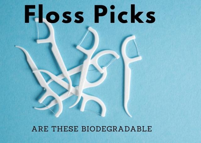 biodegradable floss picks