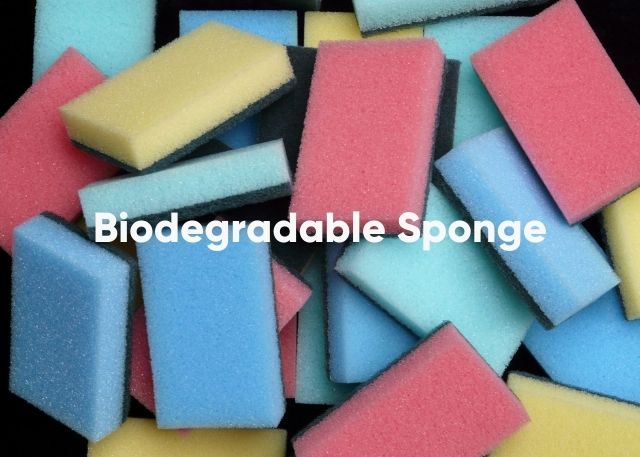 Biodegradable Sponges