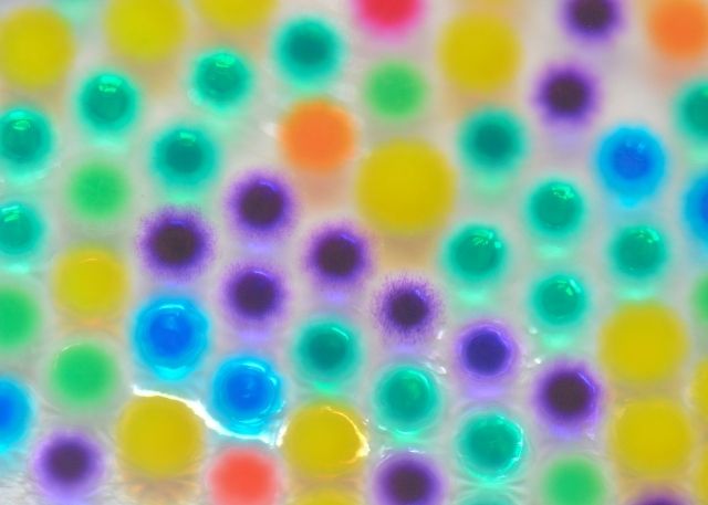 orbeez shrink