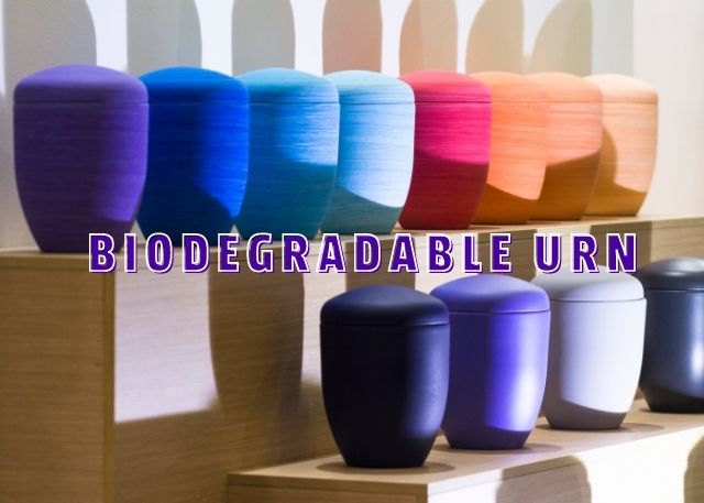 biodegradable urn