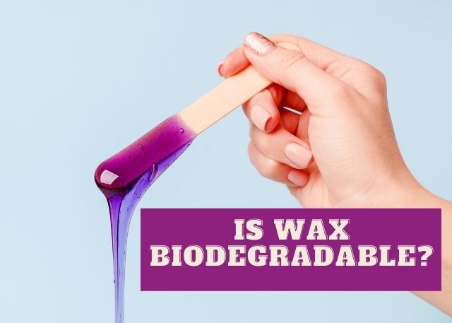 is wax biodegradable