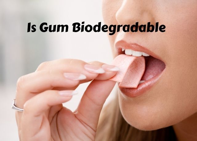is gum biodegradable